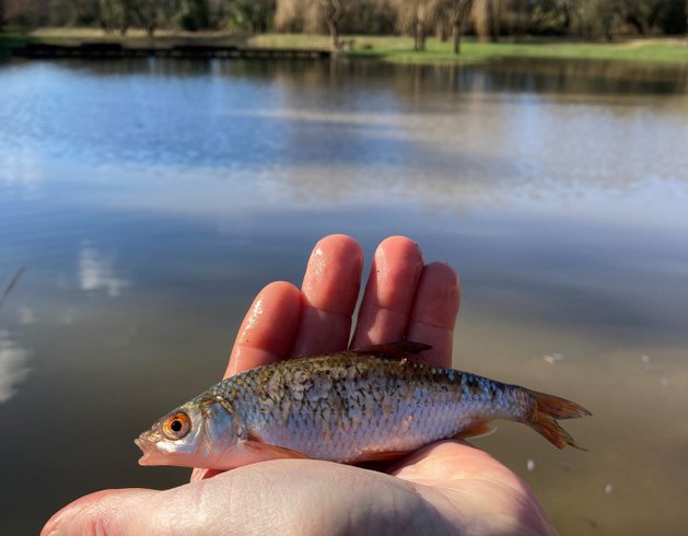 Hébergement AbracadaRoom : Ecolodge insolite -100% Eco-Responsable - Image 18
