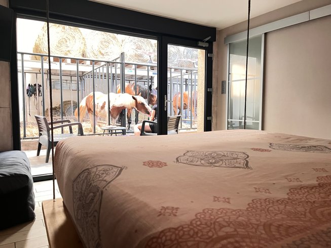 Hébergement AbracadaRoom : Suite 3 - 3 pers. terrasse avec des chevaux pour voisin de chambre - Image 2