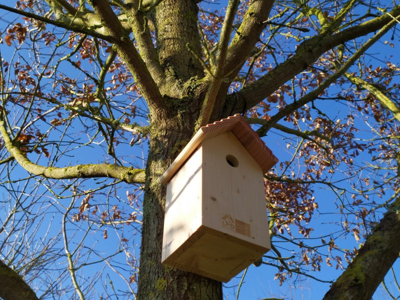 Hébergement AbracadaRoom : La roulotte "Sous le soleil" - Image 18