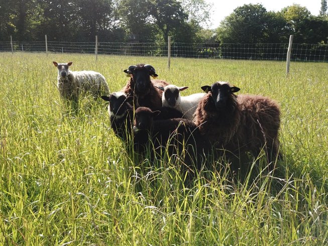 Domaine AbracadaRoom : La Ville Es Renais - Image 16