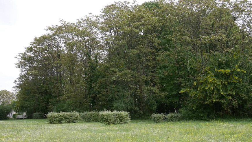 Domaine AbracadaRoom : Le Petit Trianon - Image 16