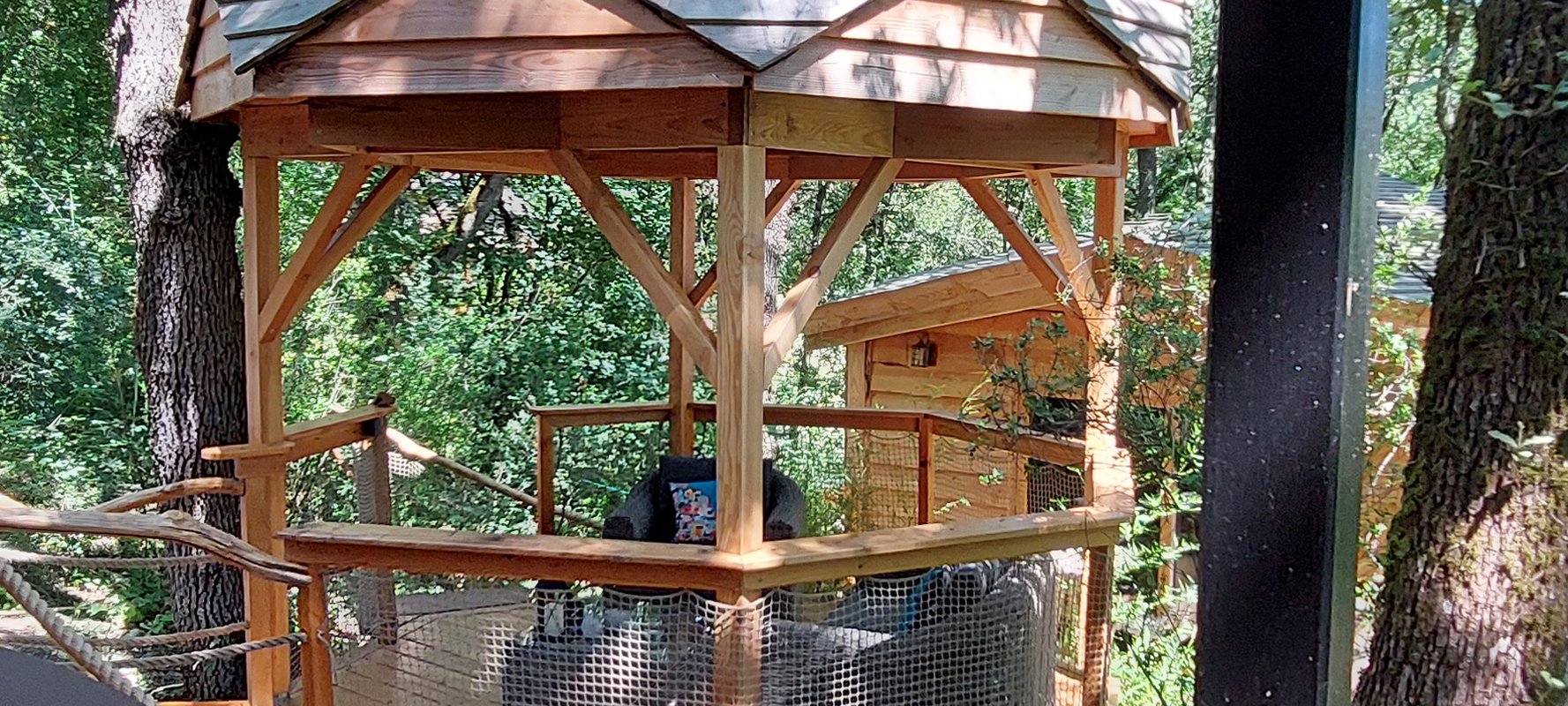 Cabane perchée GAIA & Spa à Sarrant (25)
