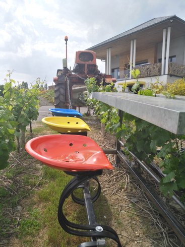 Domaine AbracadaRoom : Vignoble Marchais - Image 6