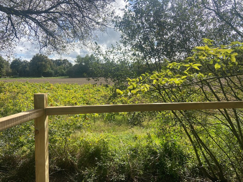 Hébergement AbracadaRoom : Tonneau insolite et SPA dans le vignoble Nantais - Image 7