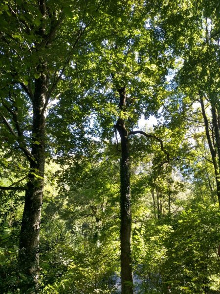 Domaine AbracadaRoom : Caban'Aspe - Image 5