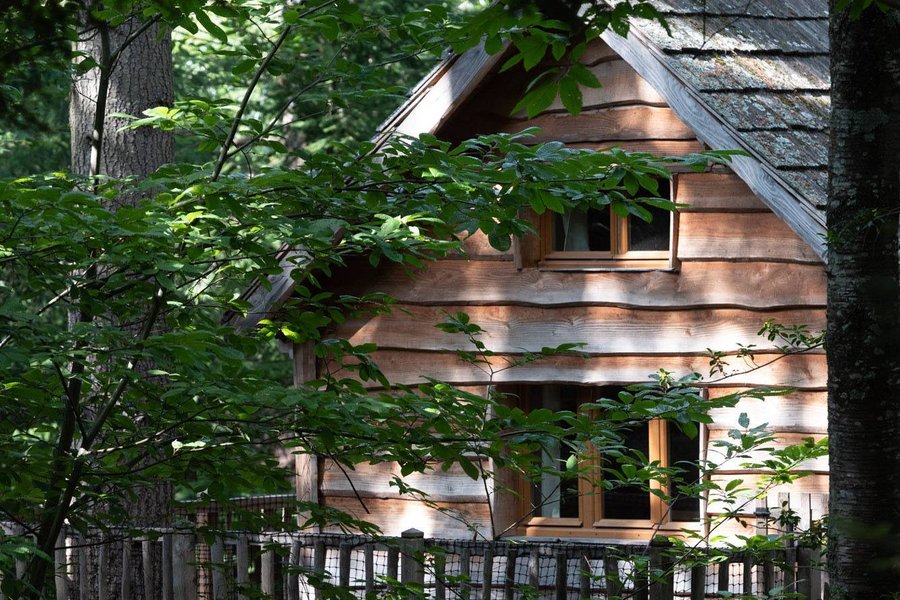 Cabane Ours — photo 2