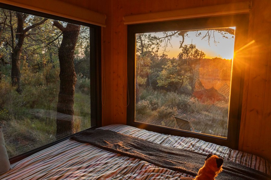 Hébergement AbracadaRoom : La Forêt Enchantée - Refuge au coeur du Vaucluse - Image 26