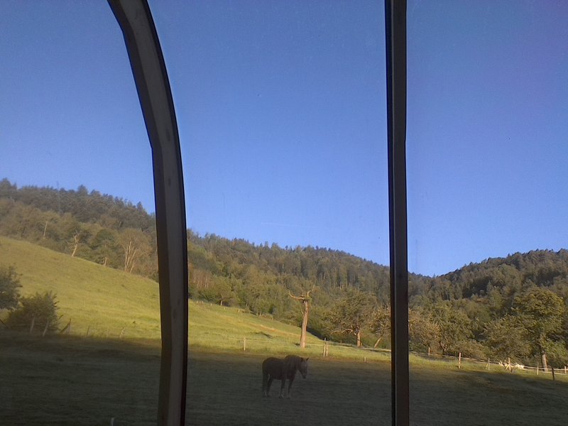 vue sur les étoiles-pod-ferme traitsanes-séjour insolite-à deux-alsace-abracadaroom