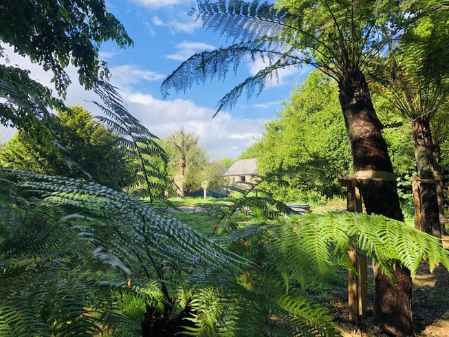 Domaine AbracadaRoom : Jardin Zen du Quistillic - Image 4