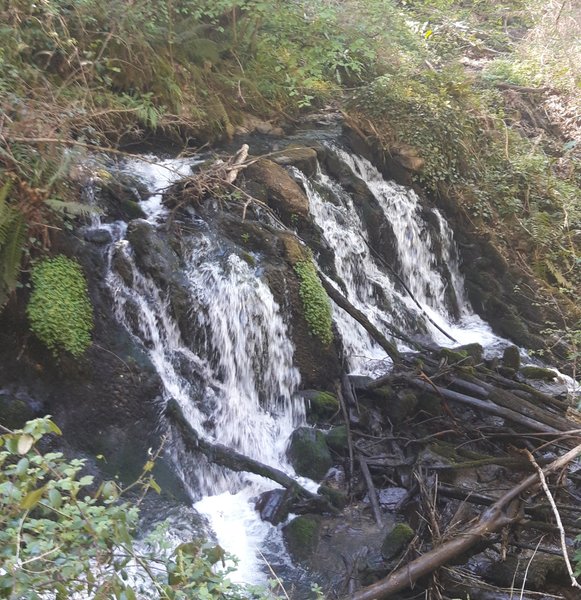 Domaine AbracadaRoom : Le Domaine Insolite à Marie - Image 8