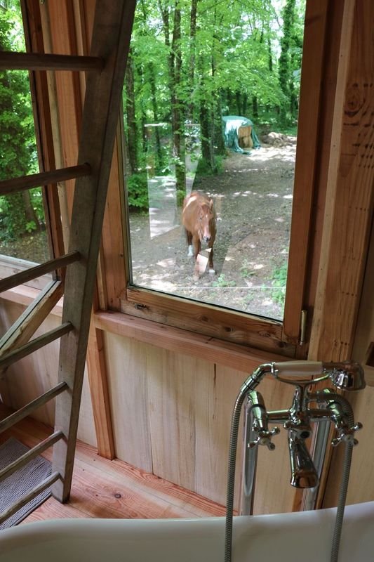 La Cabane de La Tortillère à Marcay (11)