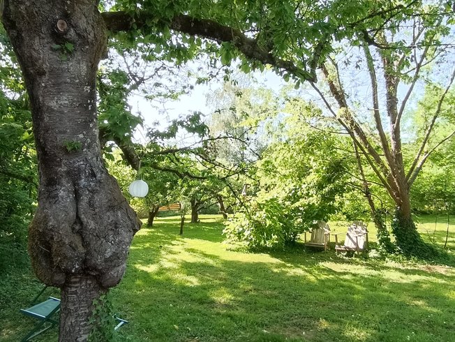 Hébergement AbracadaRoom : La Roulotte du Domaine de la Comté & Spa - Image 21
