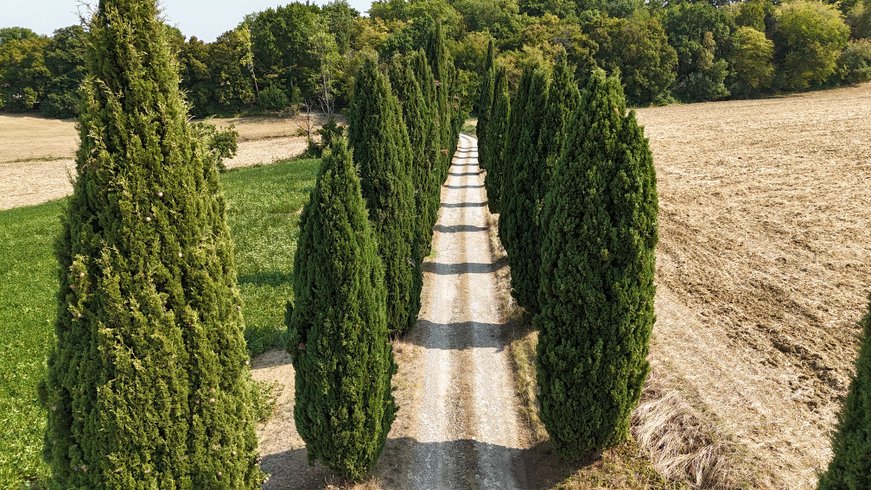 Domaine AbracadaRoom : Glamping Gascon - Image 2