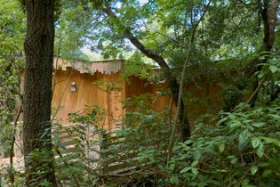 Les Cabanes dans les bois