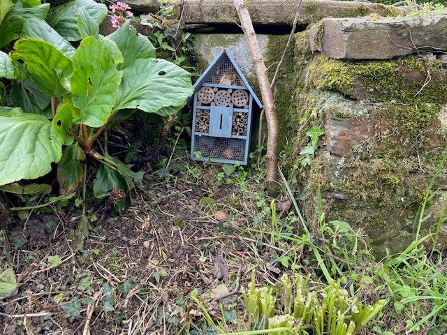 Domaine AbracadaRoom : LES INSOLITES DE SOPHIE - Image 11