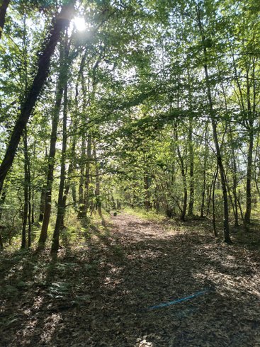 Hébergement AbracadaRoom : La roulotte de Naturospirit - Image 15