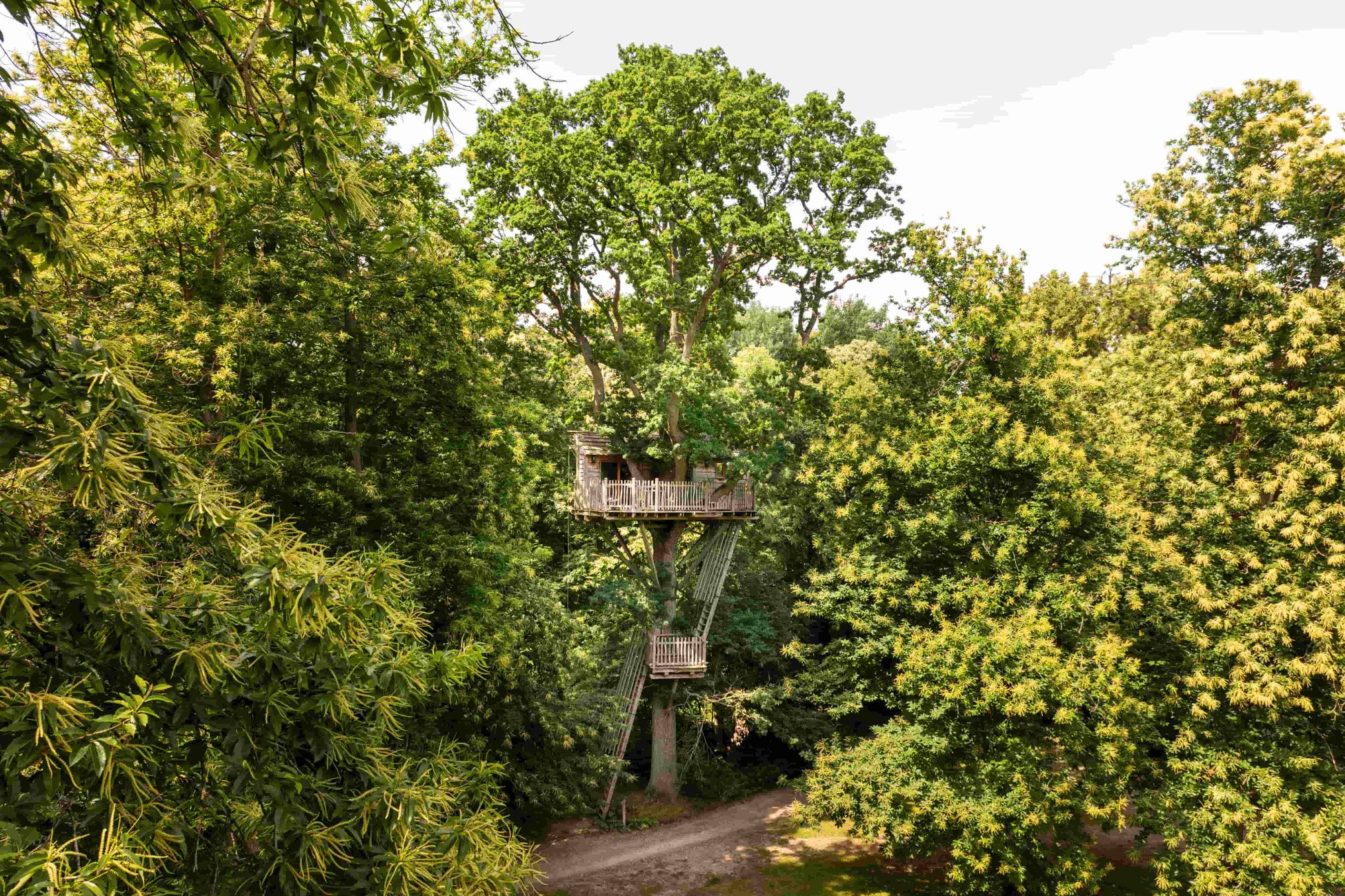 Hébergement UnicStay : Cabanes Duo dans les Arbres à Raray
