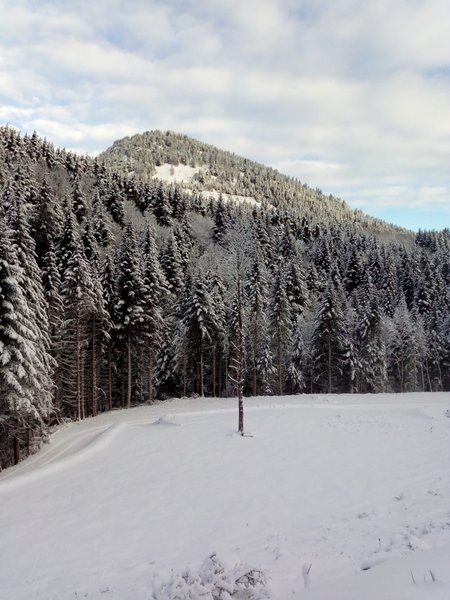 Domaine AbracadaRoom : Aux Mille Etoiles De Sara - Image 17