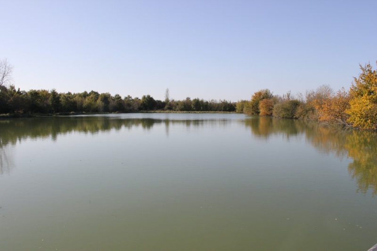 LA MAISON FLOTTANTE - 6 personnes à Le Langon (14)