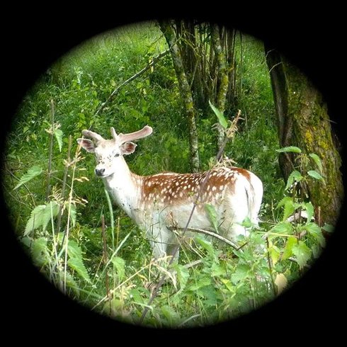Hébergement AbracadaRoom : Tente Lodge des Souciers - Image 14