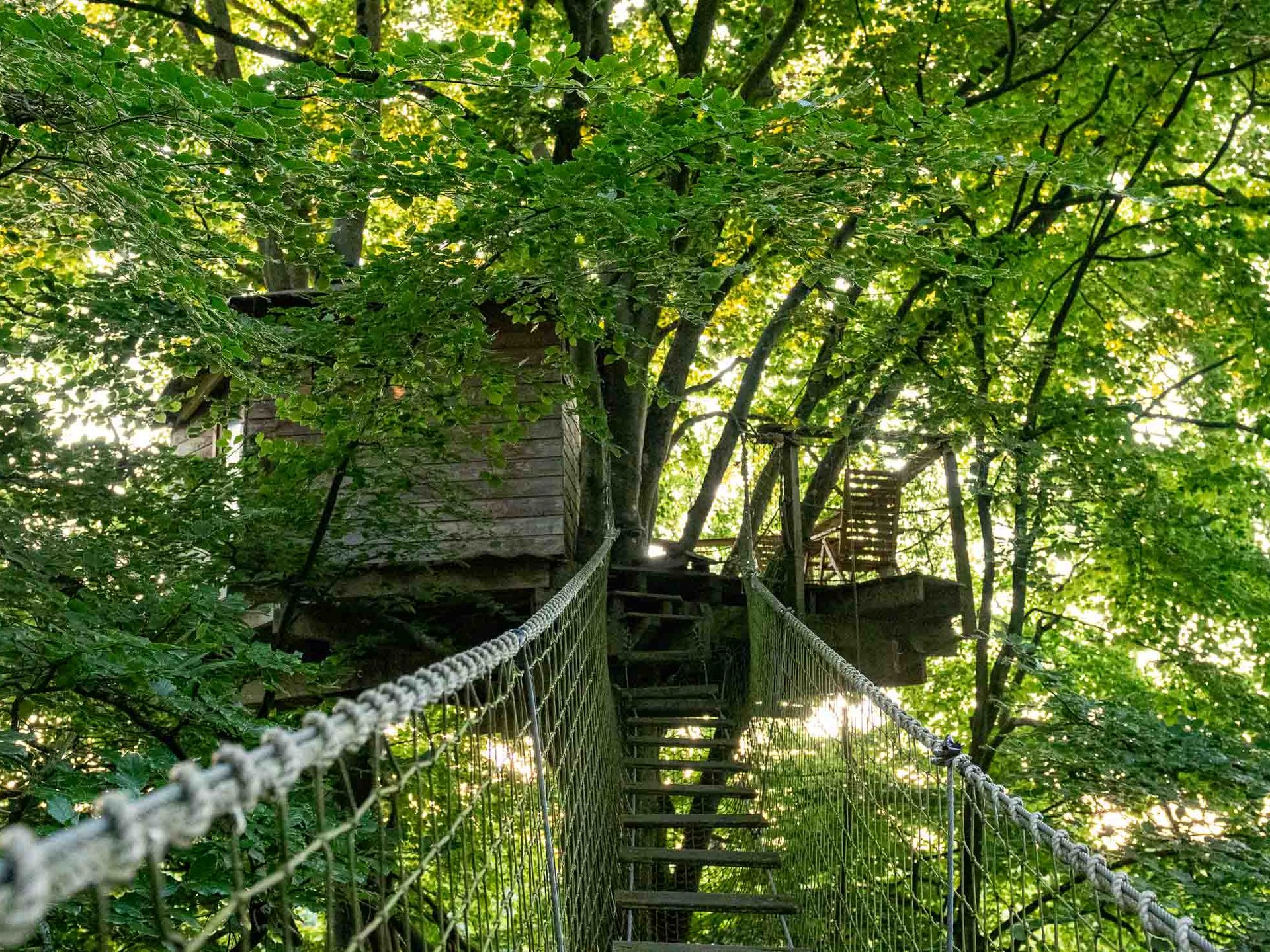 Cabane Epervier