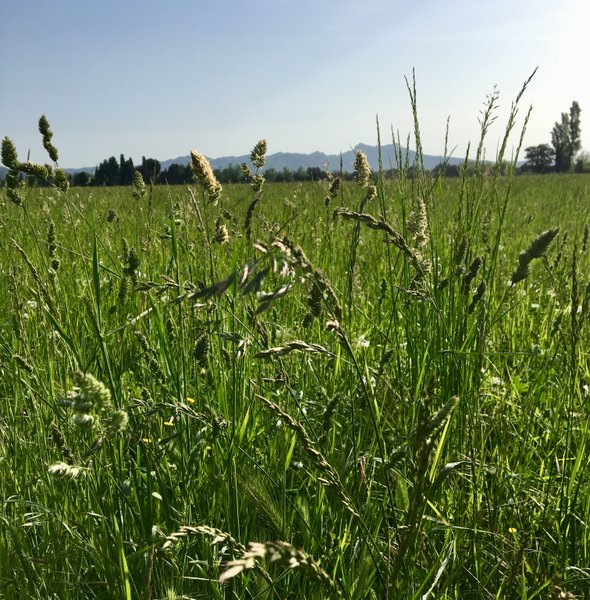 Domaine AbracadaRoom : Mon Lodge en Provence - Image 7