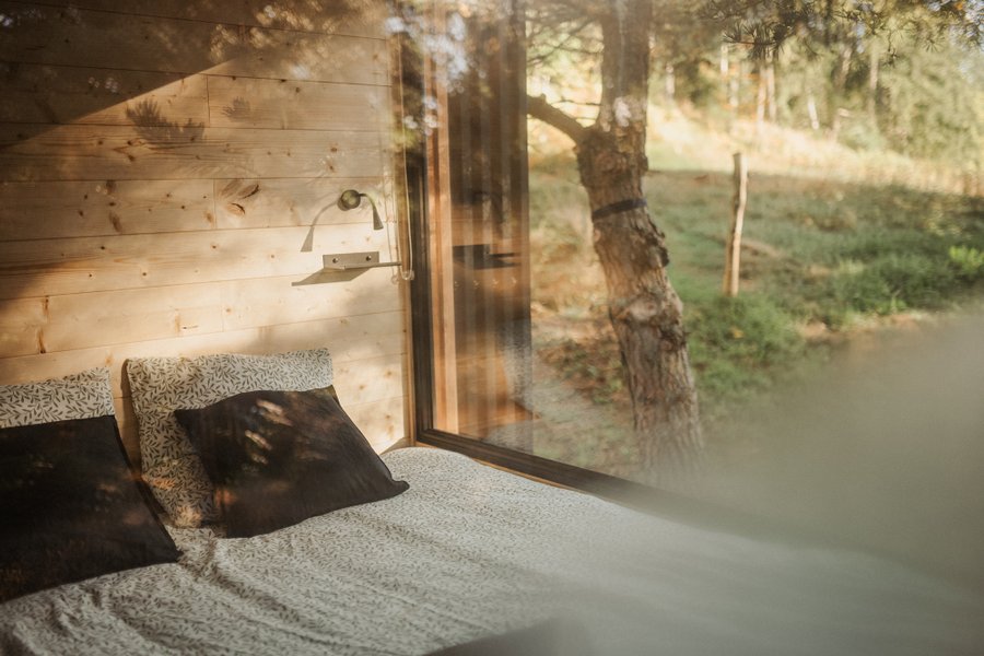 Hébergement AbracadaRoom : Homnest - L'Instant Sauvage - Vue Cimes & Forêt - Image 8