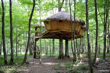 vue-dos-robin-des-bois-fontaine-chatel