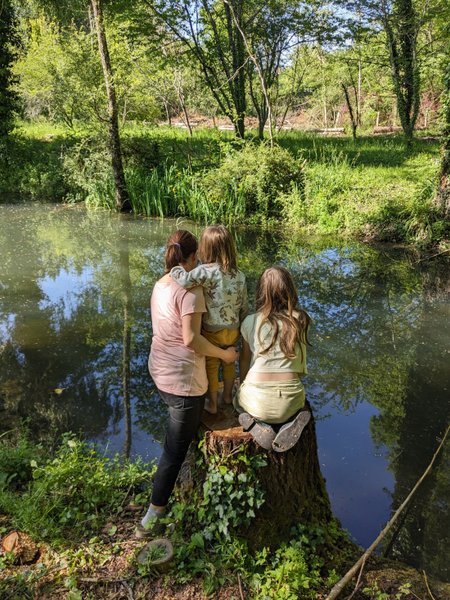 Domaine AbracadaRoom : Graines de nature - Image 14