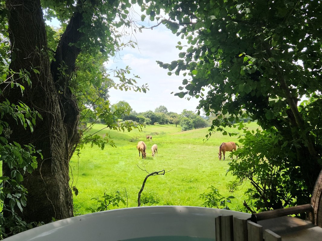 Le Fournil & Bain nordique à Saint-Jean-D'elle (2)