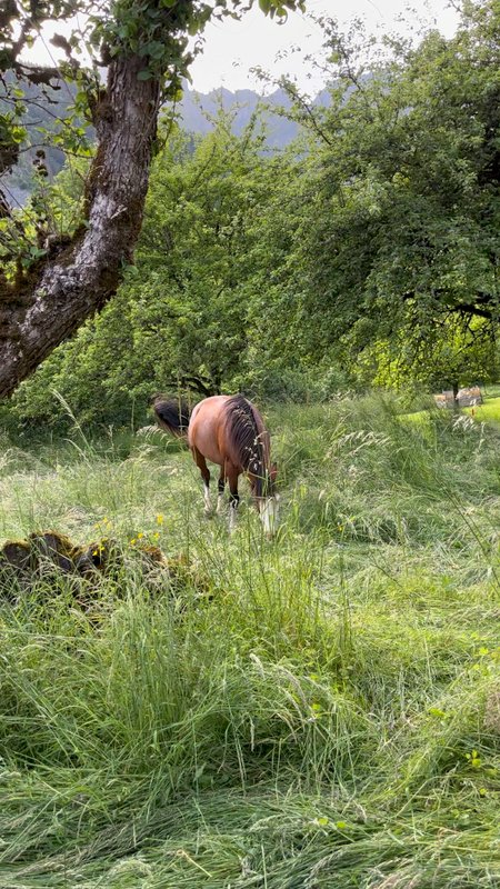 La Mine de Buck & Spa à Le Biot (17)