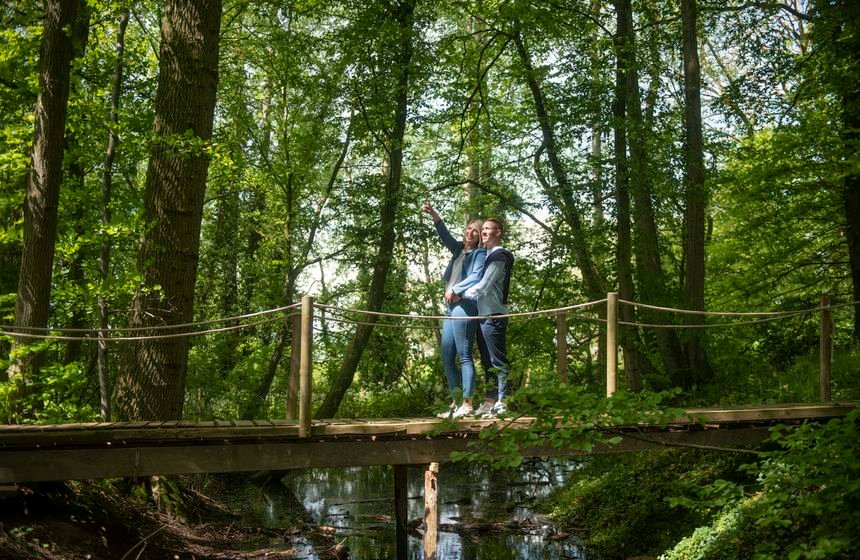 Hébergement AbracadaRoom : La roulotte "Dentelles et enchantements" - Image 12
