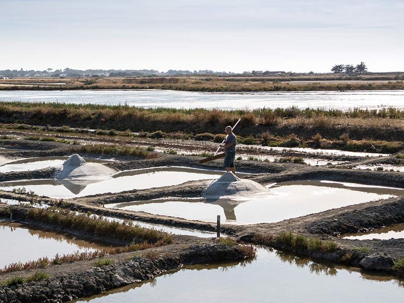 Domaine AbracadaRoom : Huttopia Noirmoutier - Image 18