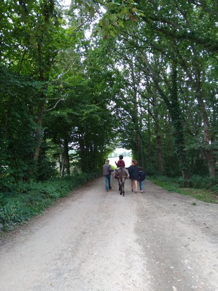 Domaine AbracadaRoom : Domaine de la Boderie - Image 11