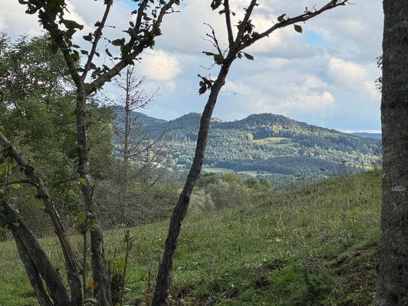Hébergement AbracadaRoom : La Clairière de Peylenc - Refuge en Velay - Image 21