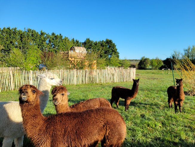 Hébergement AbracadaRoom : Coup de foudre en Anjou & Spa - Image 6
