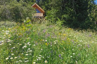 Cabane "Les terres blanches"