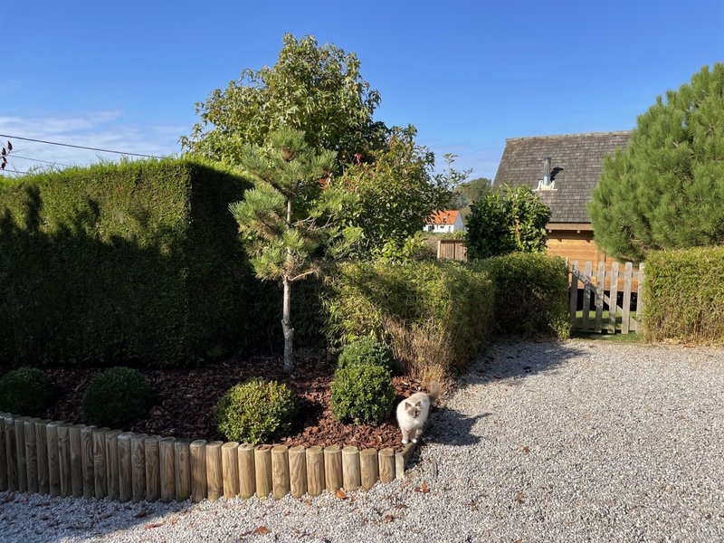 Domaine AbracadaRoom : Le Forest Lodge - Image 1