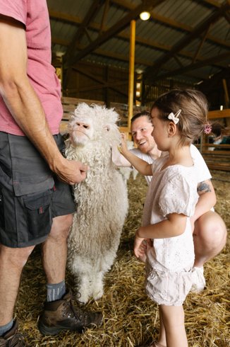 Domaine AbracadaRoom : Ferme de Courneillac - Image 8