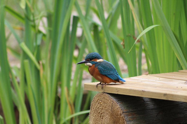 Domaine AbracadaRoom : La Croix Saint Louis - Image 1