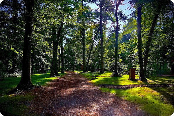 Domaine AbracadaRoom : Les Lodges de Vaugrigneuse - Image 4