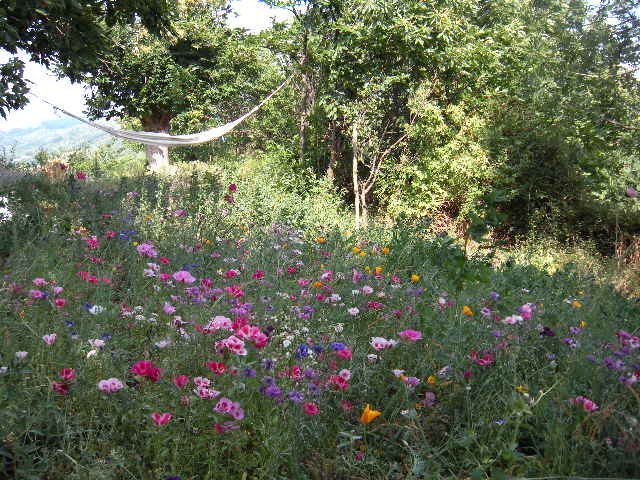Hébergement AbracadaRoom : Escapade en pleine Nature dans un séchoir à plantes - Image 24
