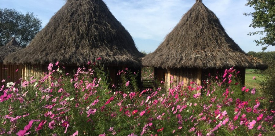 Hébergement AbracadaRoom : Lodge Lulu - Image 9