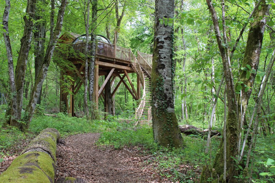 Hébergement AbracadaRoom : Dôme perché Spa - Chouette - Image 4