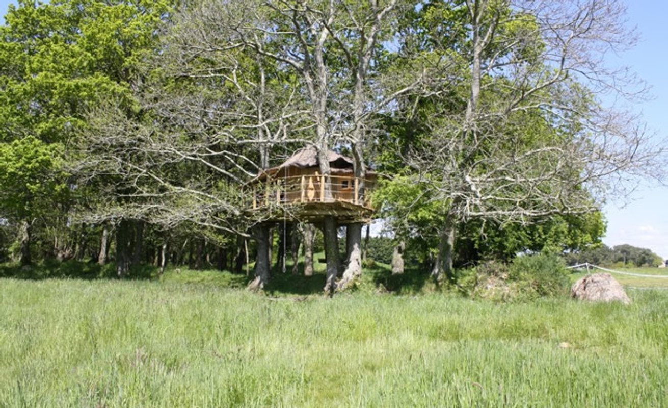 La Cabane perchée Folenn à Ploemel (2)