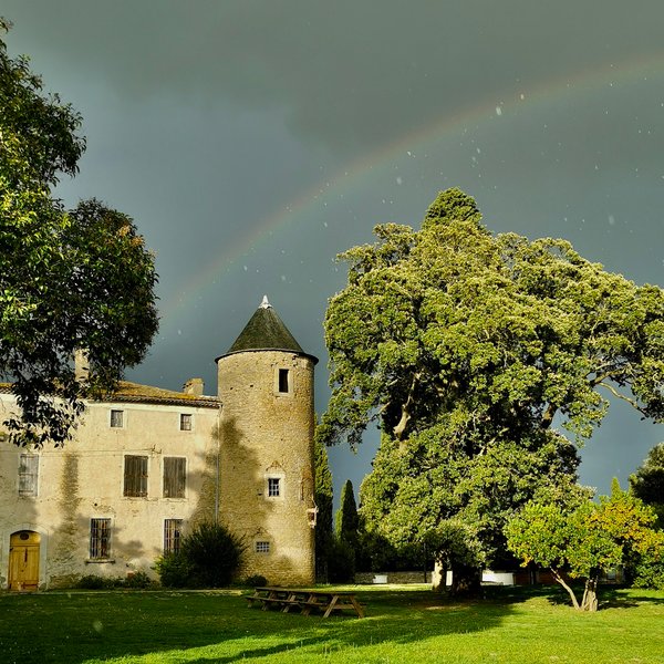 Domaine AbracadaRoom : Les Cabanes dans les bois - Image 9