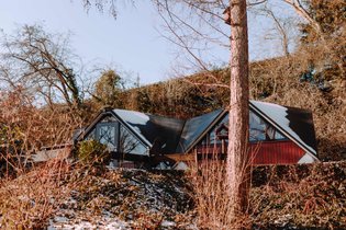 In the Woods - Chalet Boréal