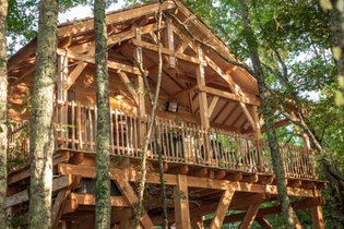 Cabane dans les arbres Gironde