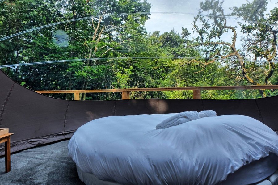 Hébergement AbracadaRoom : Bulle Spa du Bosquet - Image 15