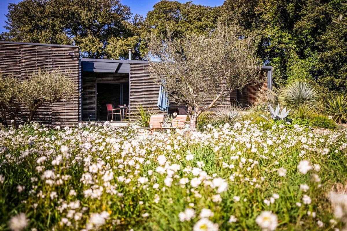 L'ASPHODELE la cabane chic à Saze (45)